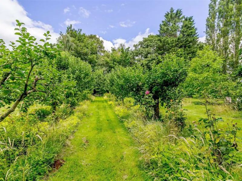 Garden - wild at Georgian villa Bromsash, A1565 (photo 28)