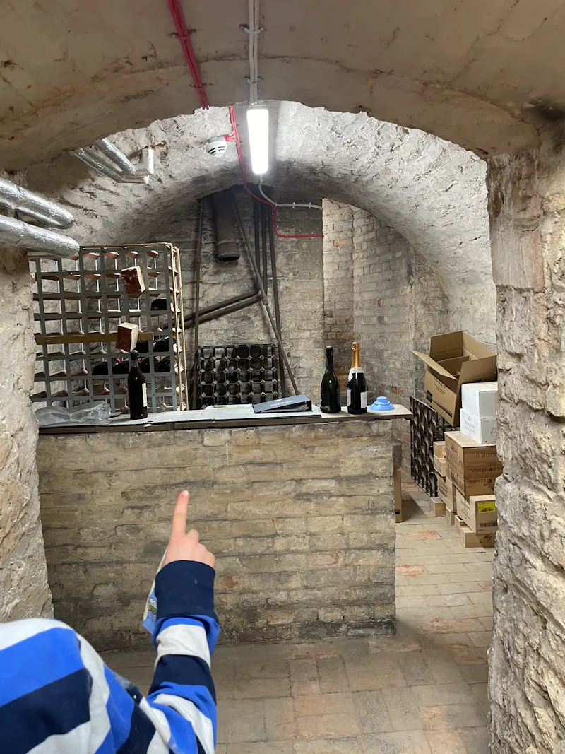 Cellar at Neo-classical Bedford house, A1438 (photo 87)
