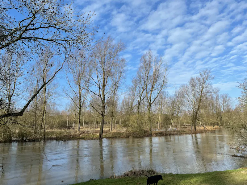 Lake at Neo-classical Bedford house, A1438 (photo 99)