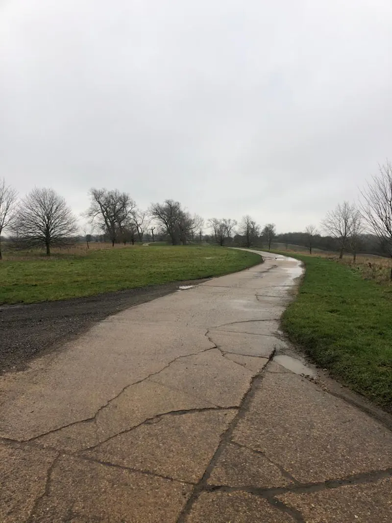 Driveway at Neo-classical Bedford house, A1438 (photo 53)