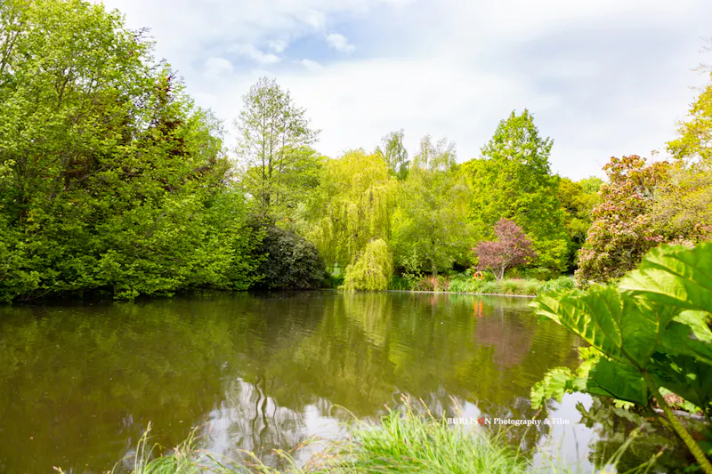 Lake at Historic Lymington stately, E406 (photo 38)