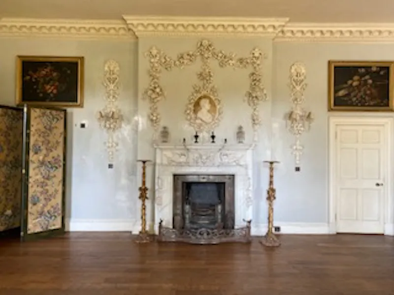 Fireplace at Historic Lymington stately, E406 (photo 5)