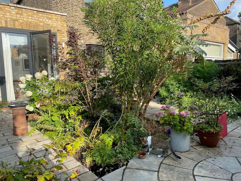 Stylish Kensal Green house, F1107 (photo 48)
