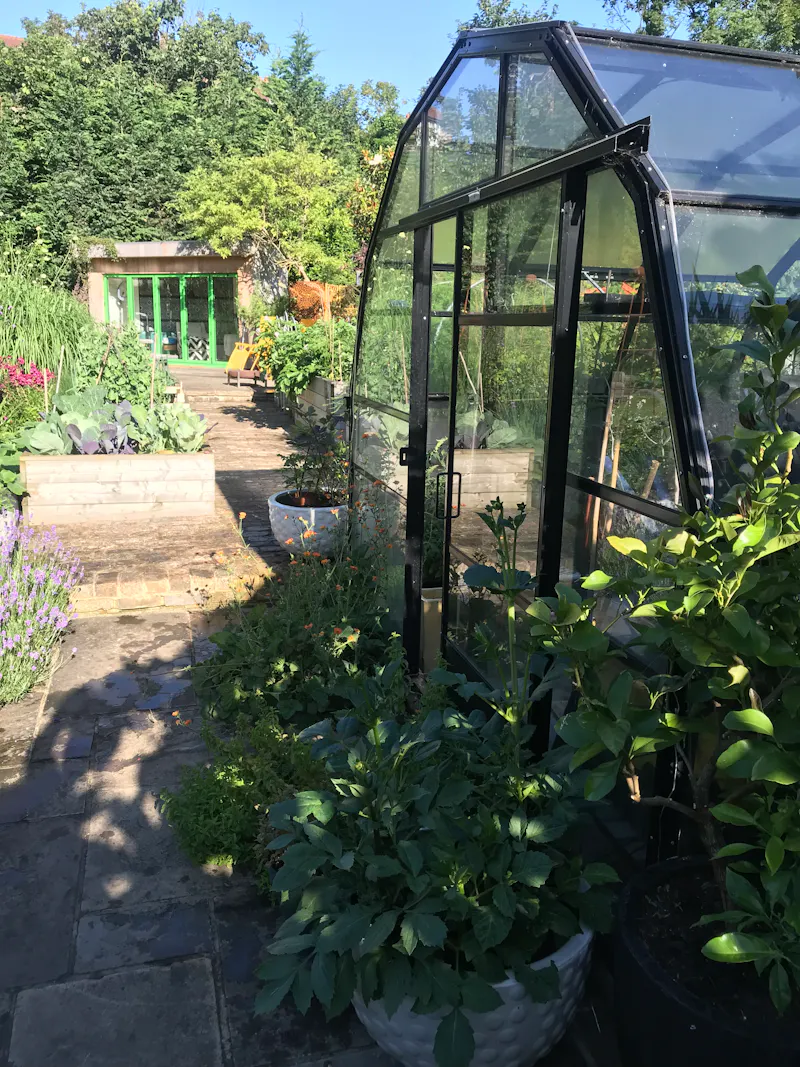 Greenhouse at Large Victorian house Peckham , B1928 (photo 17)