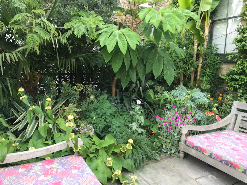 Terrace/Patio at Large Victorian house Peckham , B1928 (photo 18)