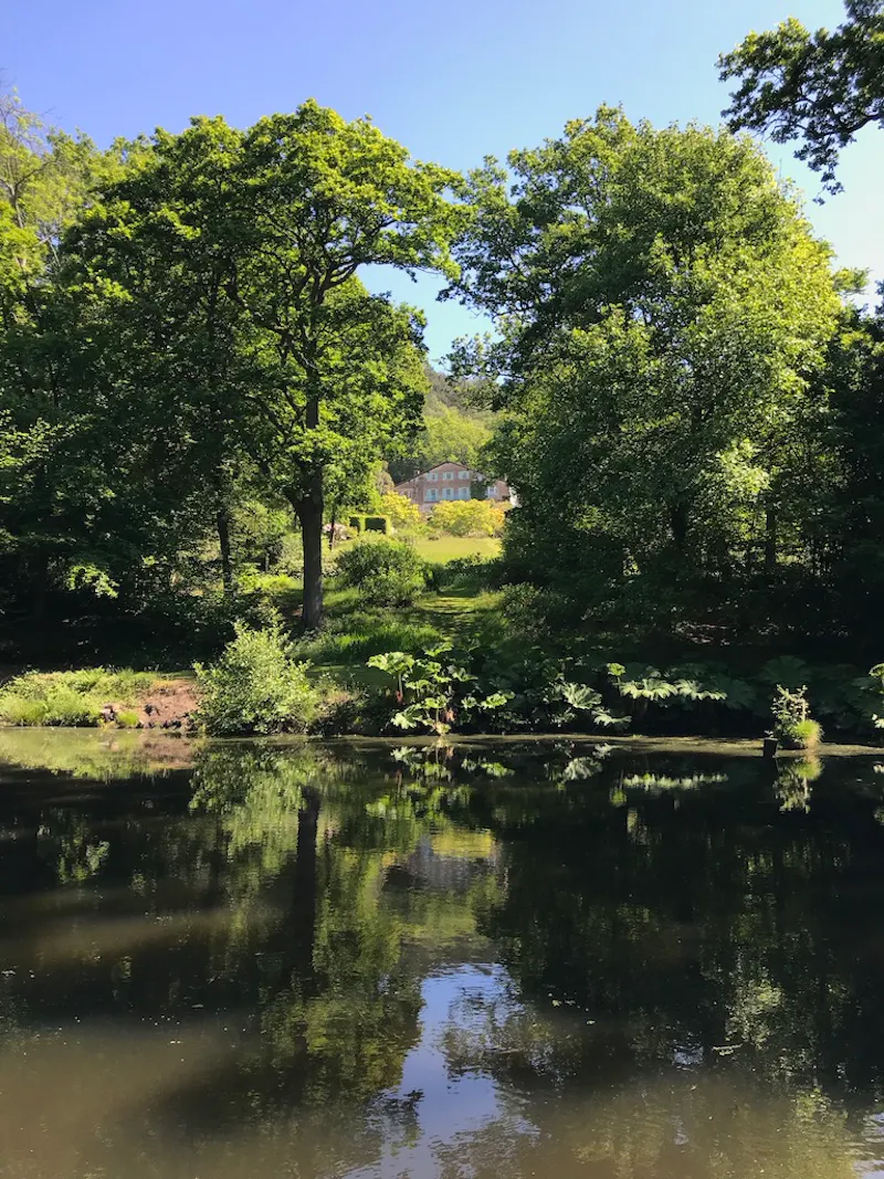 Lake at  Arts & crafts house Ewhurst, E486 (photo 16)