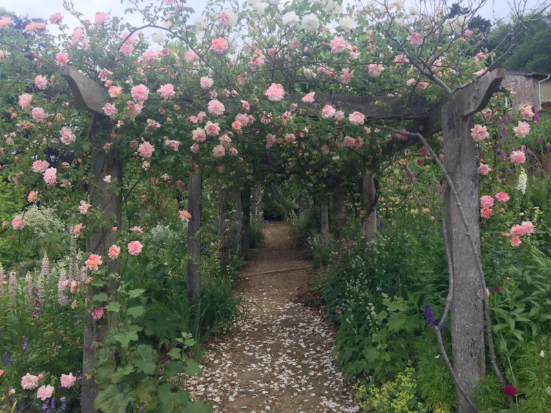 Garden - wild at  Arts & crafts house Ewhurst, E486 (photo 17)