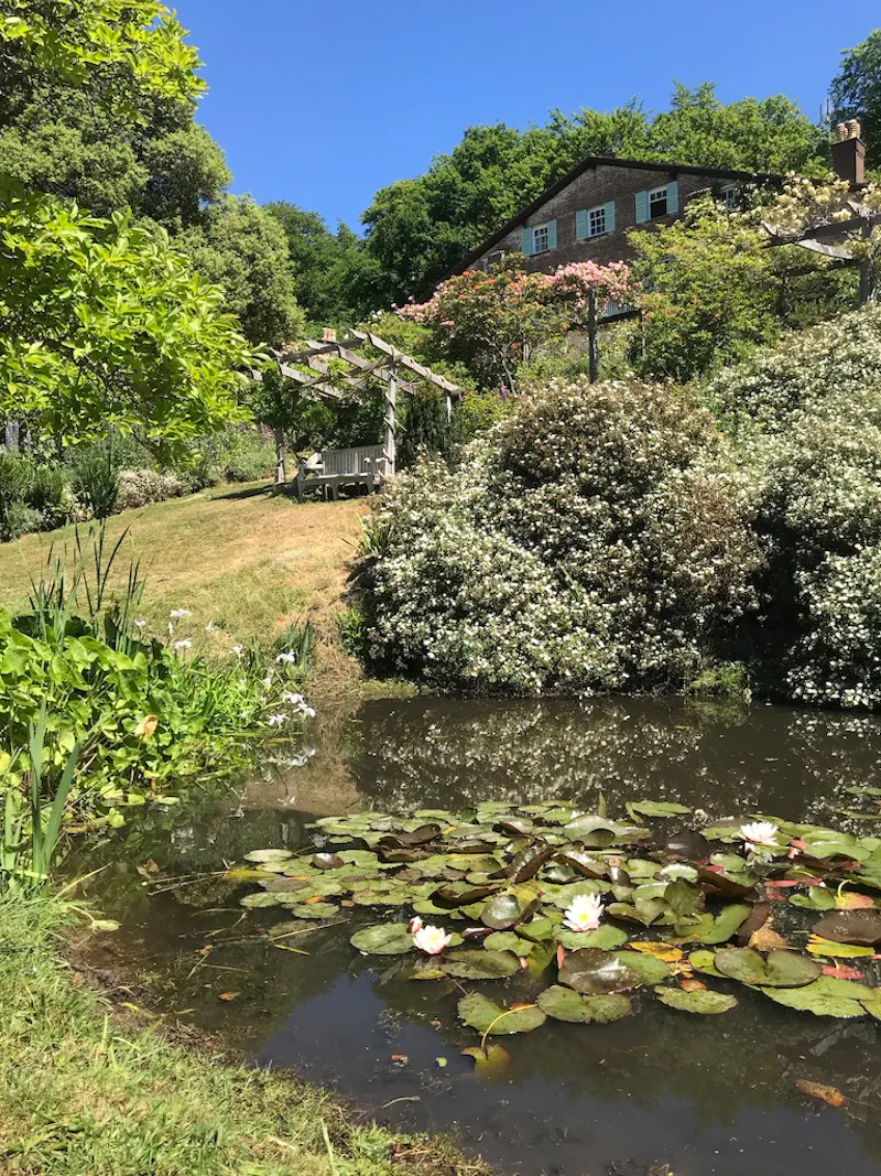 Pond at  Arts & crafts house Ewhurst, E486 (photo 18)