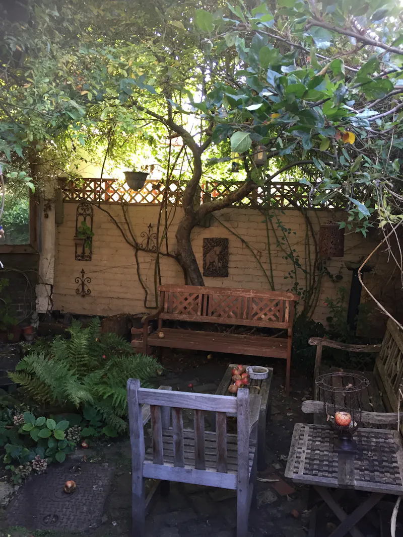 Detached house in Putney , B1932 (photo 30)