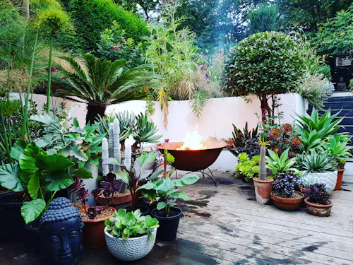 1960's botanical house London, D2548