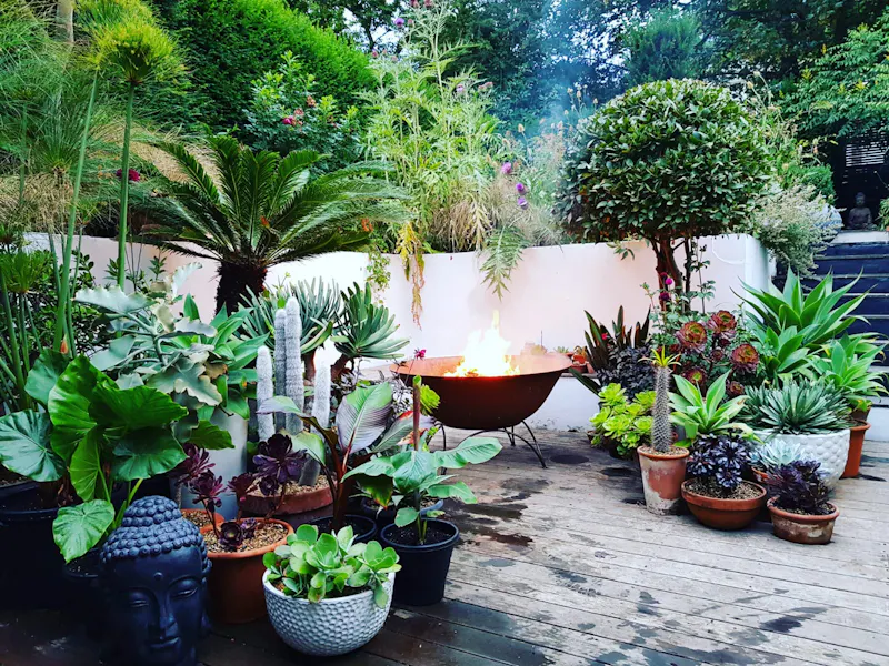 Garden at 1960's botanical house London, D2548 (photo 11)