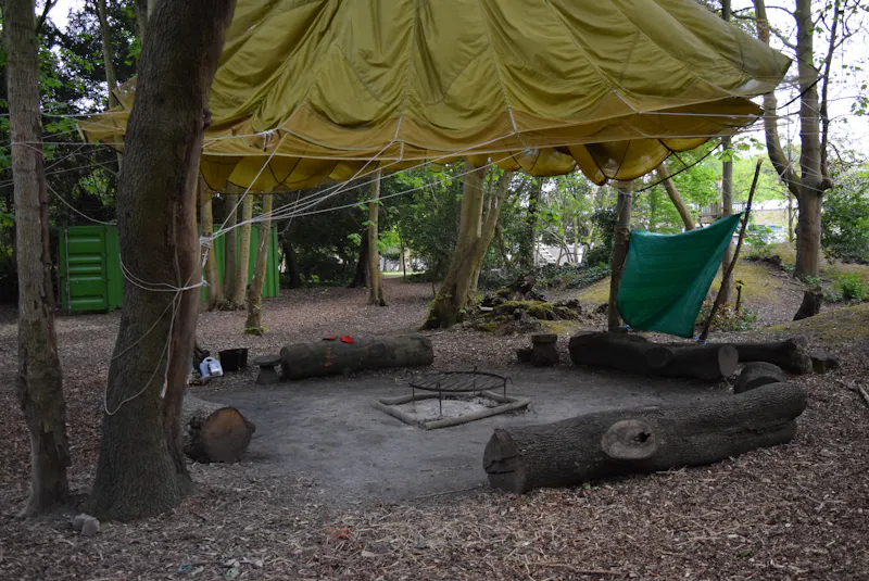 Woodland at Victorian manor & school, J221 (photo 46)
