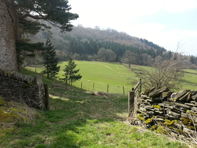 Garden at Stone house & outbuildings Hay, L726 (photo 13)