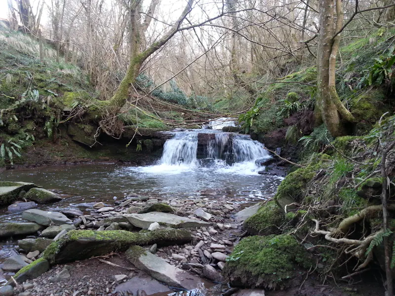 Pond at Stone house & outbuildings Hay, L726 (photo 15)