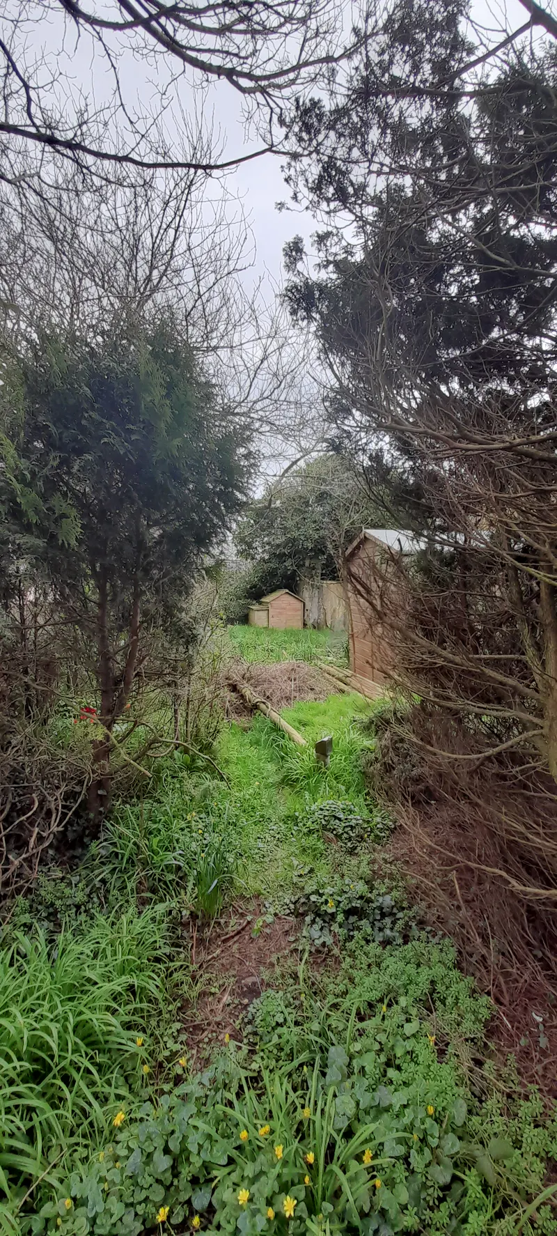 Edwardian manor home Cornwall, E488 (photo 17)