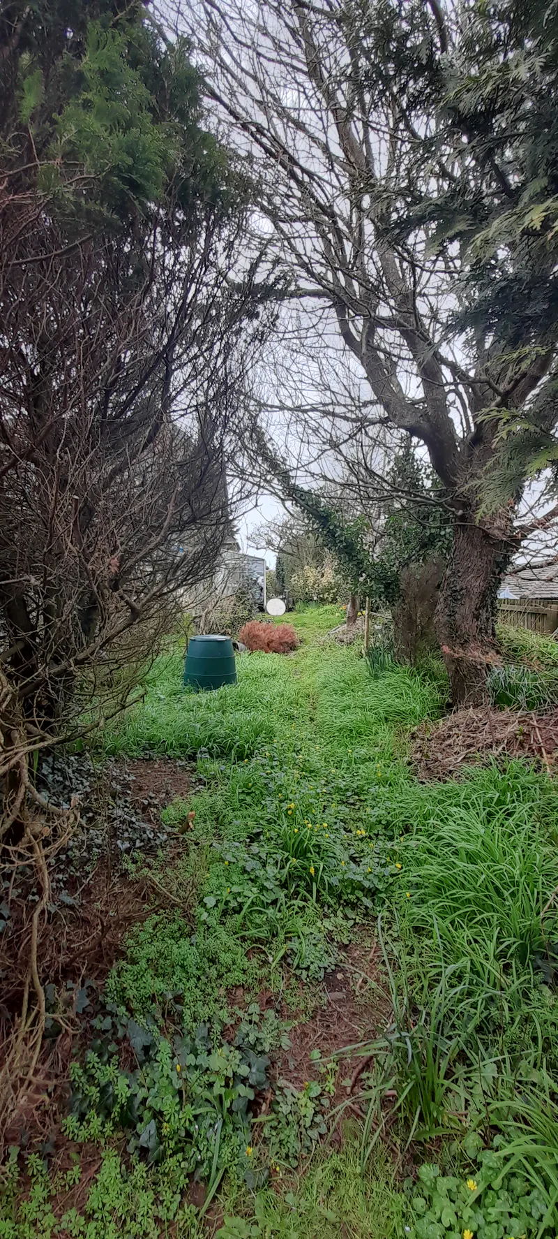 Edwardian manor home Cornwall, E488 (photo 18)