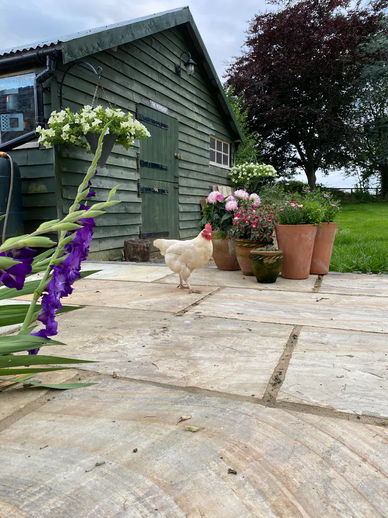 Renovated bungalow in Mursley, D2491 (photo 34)