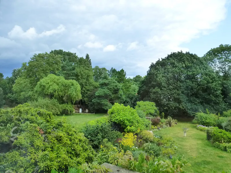 Huge vacant Dulwich house, A1435 (photo 59)