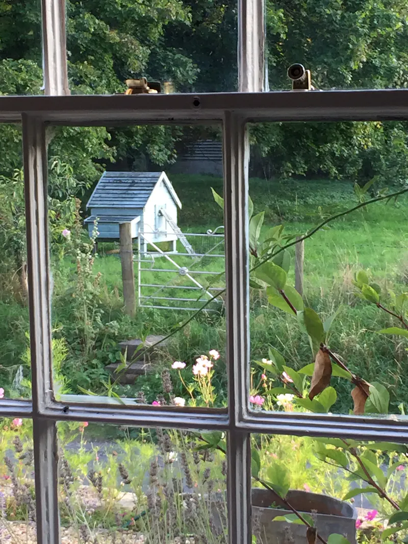 Crittall windows at Georgian Country House , A1551 (photo 70)