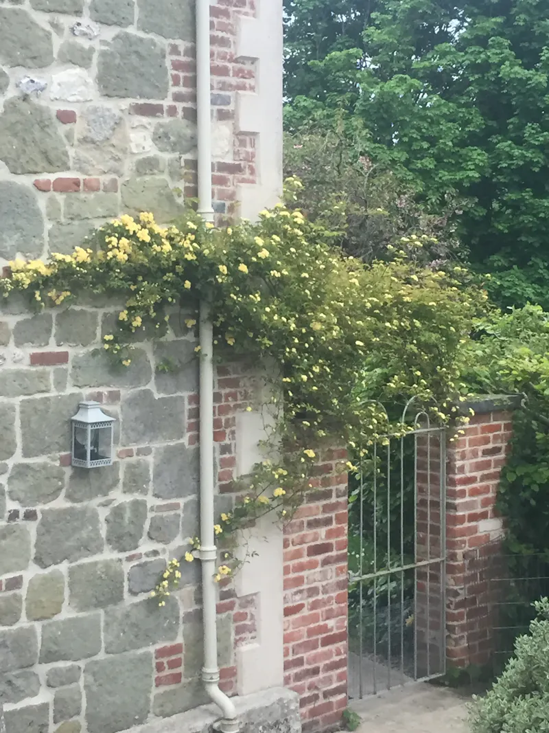 Georgian Country House , A1551 (photo 68)