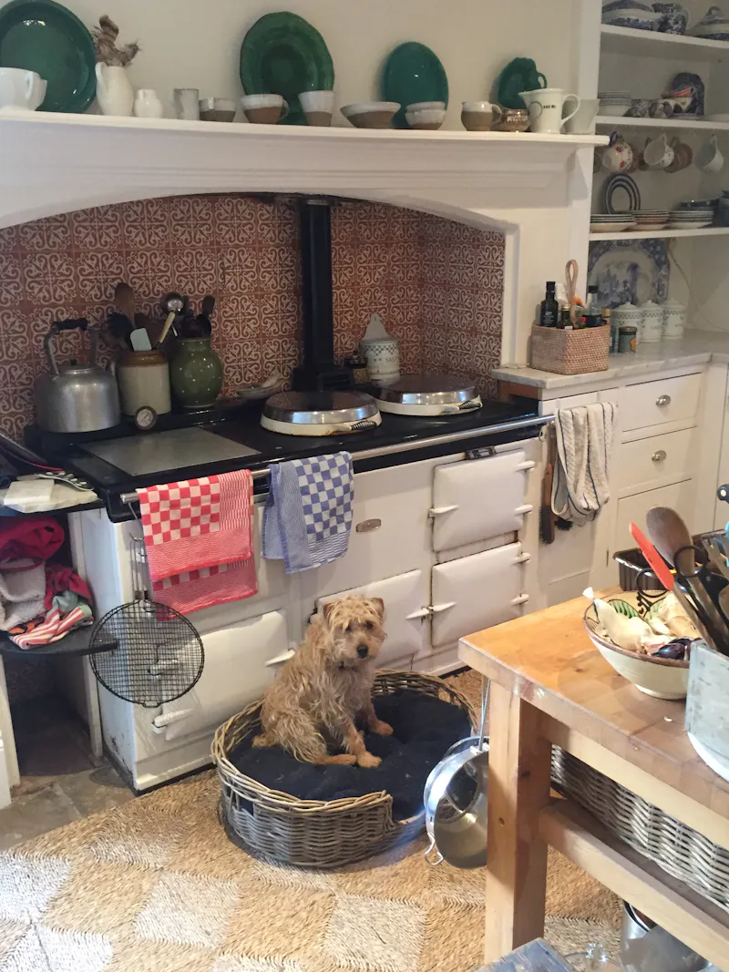 Aga at Georgian Country House , A1551 (photo 13)