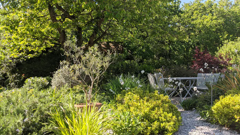 Garden at Authentic 60s Streatham house, D2128 (photo 58)