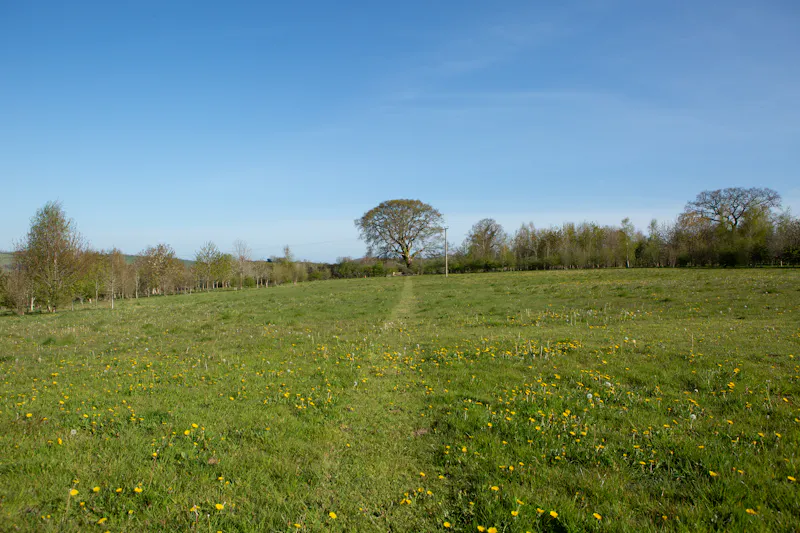 Countryside at Devon Home, D2685 (photo 24)