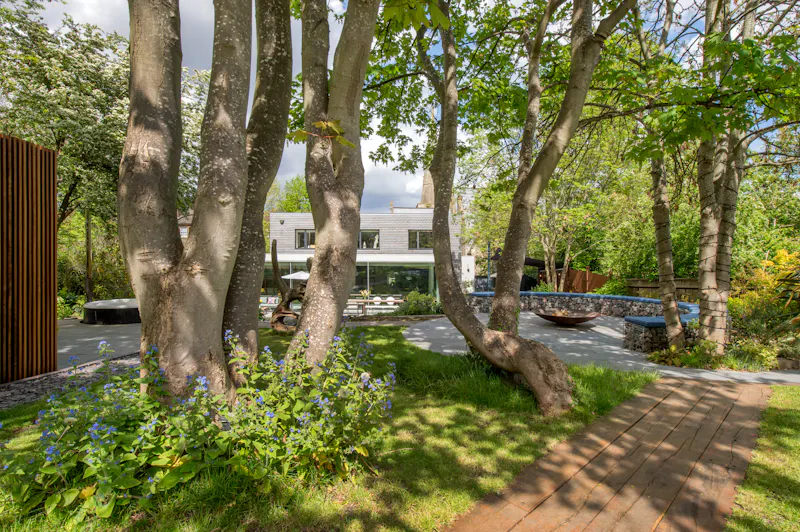 Minimal Herne Hill House , K389 (photo 50)
