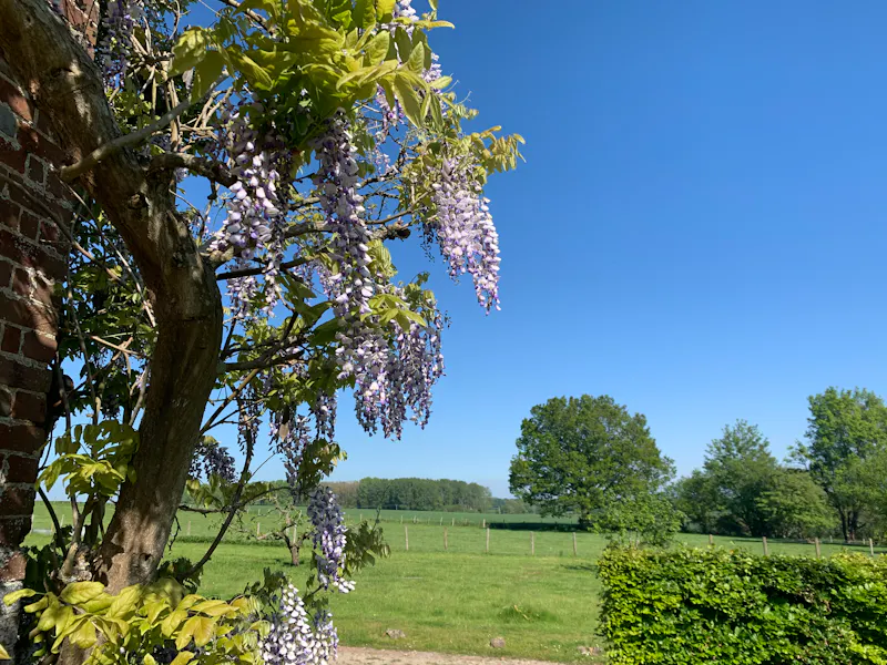 Views - country at Georgian house near Ashford, A1553 (photo 18)