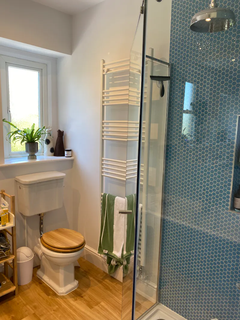 Shower at Modern Victorian house Bath, B1915 (photo 28)