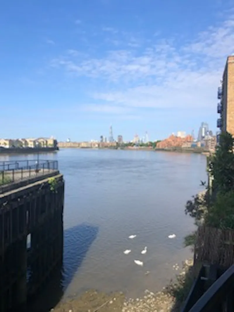 Views - Thames at Townhouse in Limehouse, D2553 (photo 13)