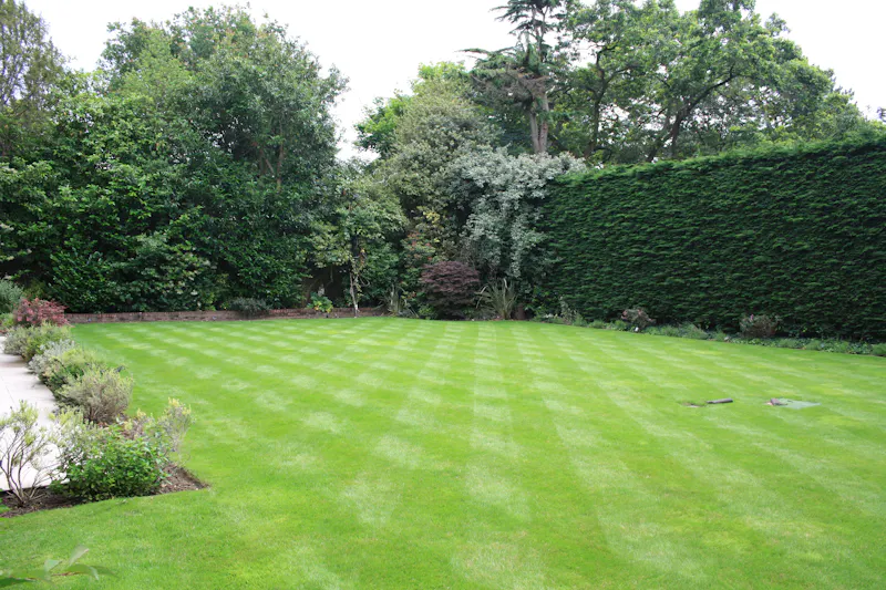 Garden at Striking Kingston mansion, D2515 (photo 112)