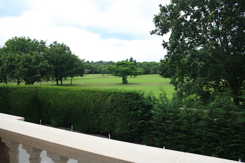 Striking Kingston mansion, D2515 (photo 48)