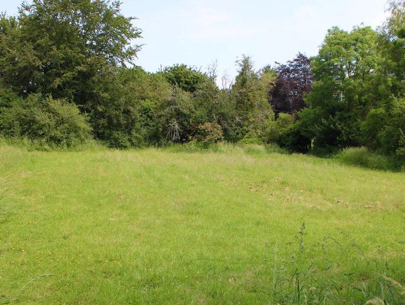 Countryside at Country house Itchen Stoke, C923 (photo 28)