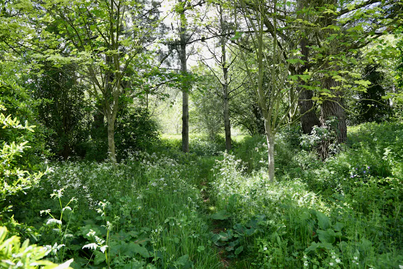 Claywell gardens in Oxfordshire, L724 (photo 27)