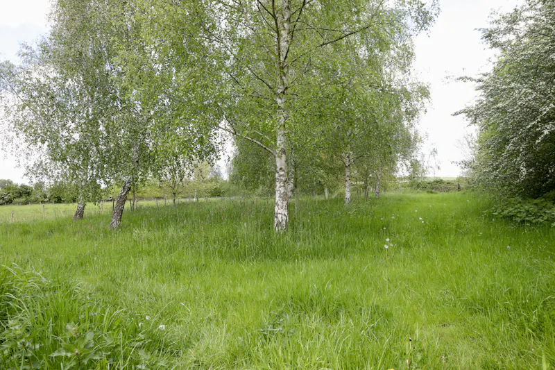 Claywell gardens in Oxfordshire, L724 (photo 26)