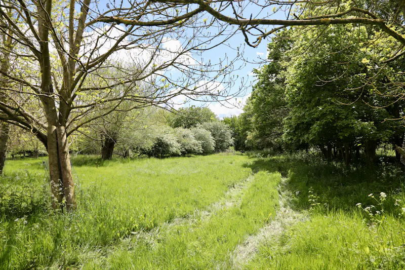Claywell gardens in Oxfordshire, L724 (photo 29)