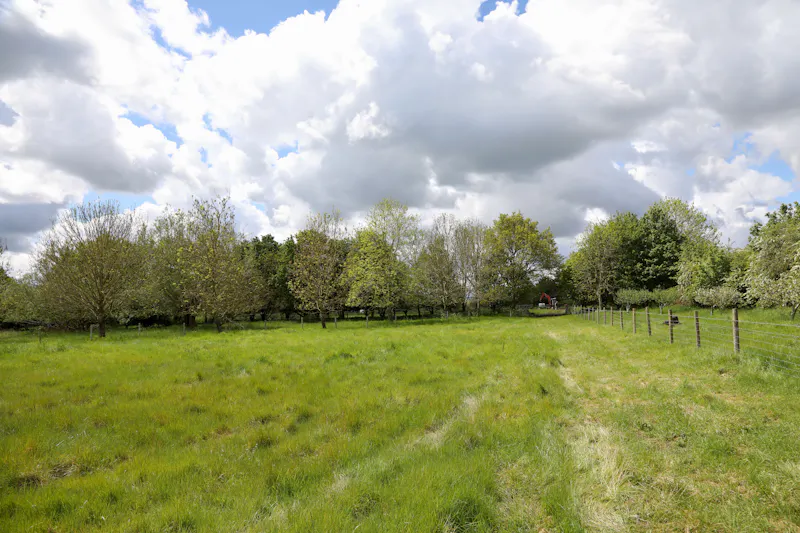 Claywell gardens in Oxfordshire, L724 (photo 17)