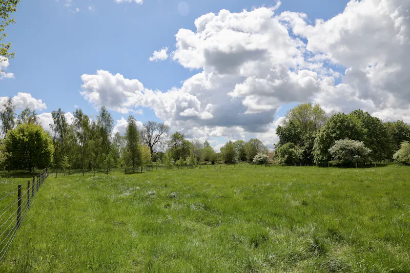 Claywell gardens in Oxfordshire, L724 (photo 18)