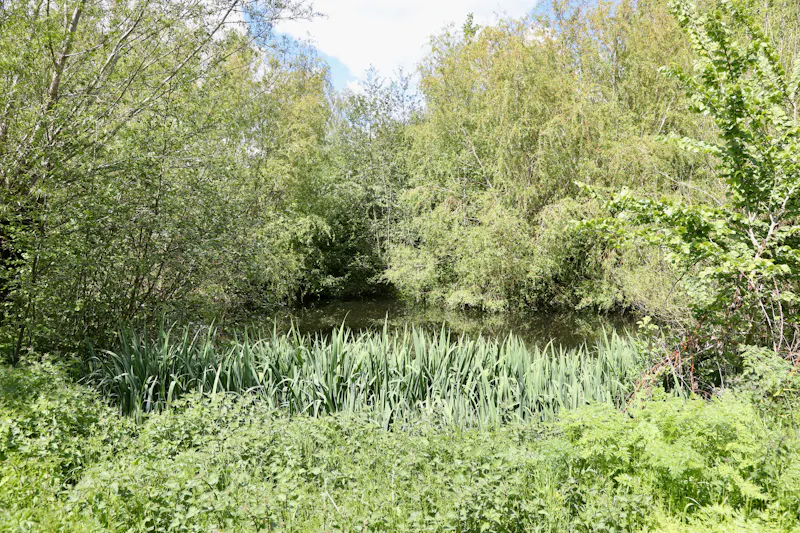 Claywell gardens in Oxfordshire, L724 (photo 36)