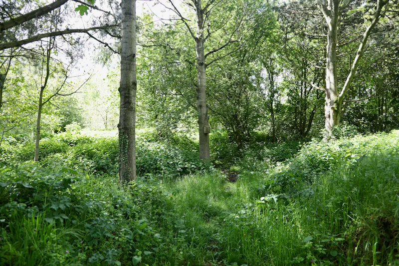 Claywell gardens in Oxfordshire, L724 (photo 30)