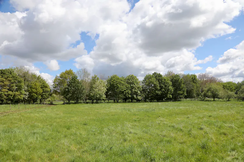 Claywell gardens in Oxfordshire, L724 (photo 16)