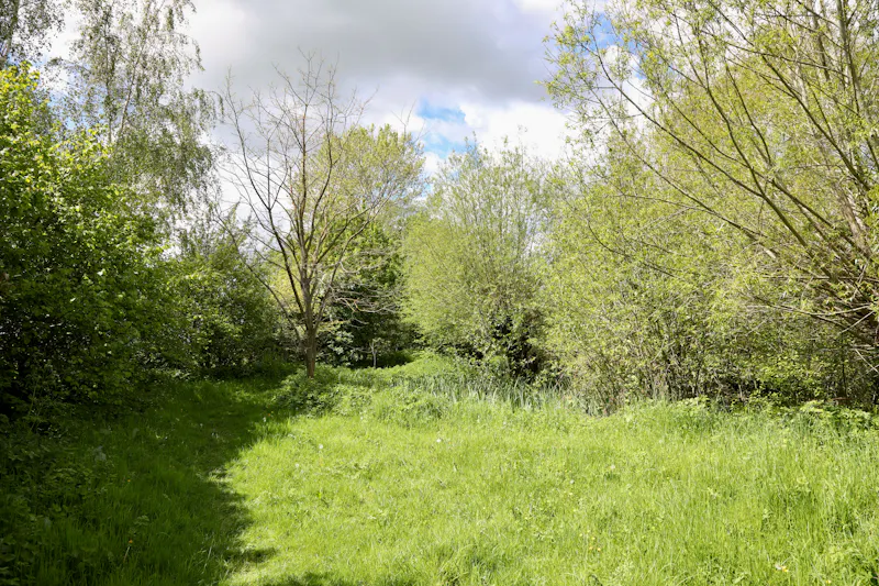 Claywell gardens in Oxfordshire, L724 (photo 35)