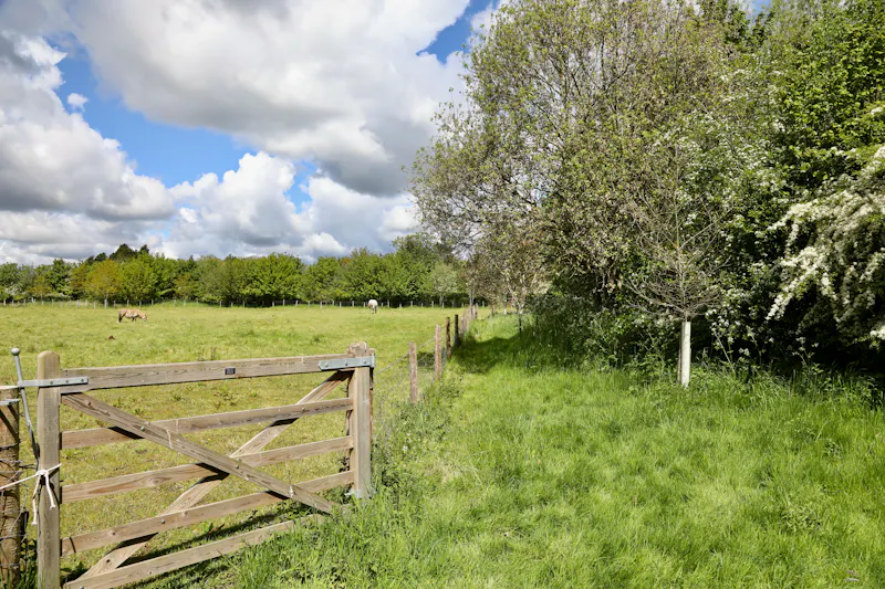 Claywell gardens in Oxfordshire, L724 (photo 25)