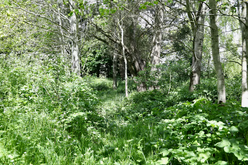 Claywell gardens in Oxfordshire, L724 (photo 34)