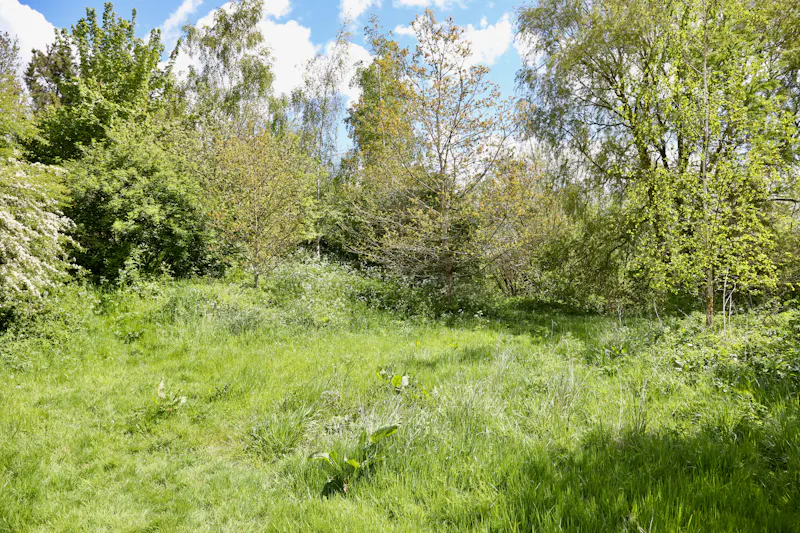 Claywell gardens in Oxfordshire, L724 (photo 37)