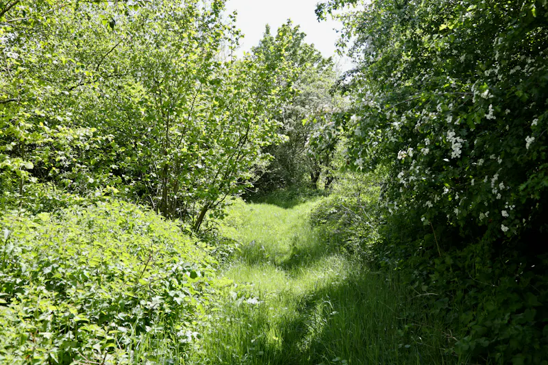 Claywell gardens in Oxfordshire, L724 (photo 24)