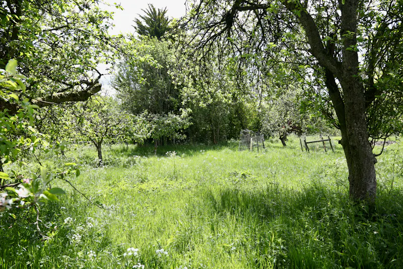 Claywell gardens in Oxfordshire, L724 (photo 42)