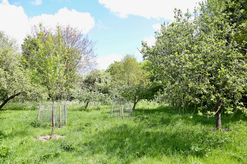 Claywell gardens in Oxfordshire, L724 (photo 43)