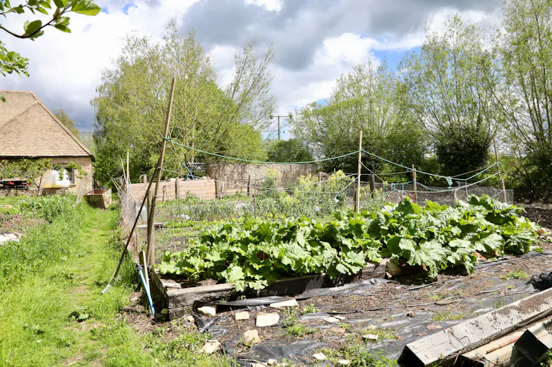 Claywell gardens in Oxfordshire, L724 (photo 4)